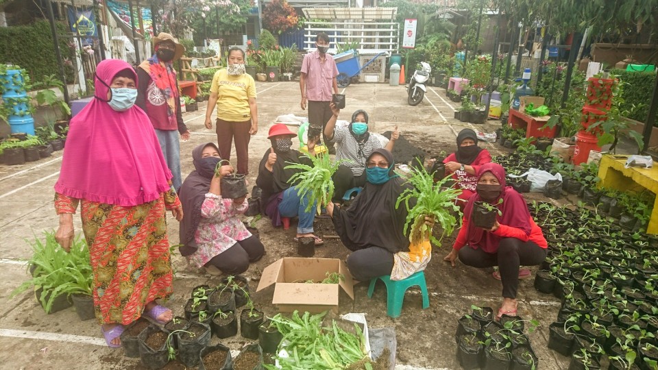 CHW growing their own food for posyandu and retail at traditional market